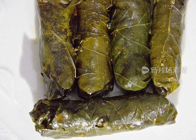 来自土耳其料理的Sarma Dolma